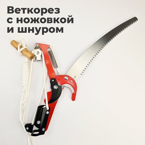 ������ 1499� ������� ��������� �������� ��� �������� / ��������� ������� �� ������