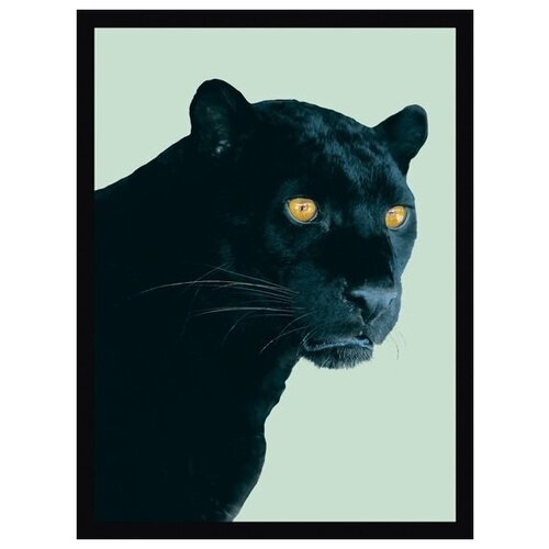 ������ 5544� ������ � ���� G&C art studio 2720B 300�400