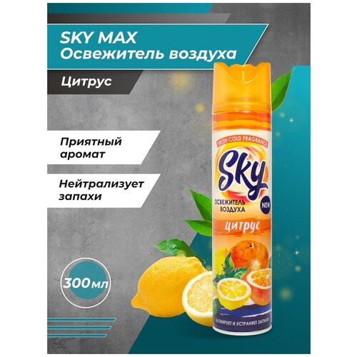 ������ 269� ���������� ������� SKY MAX ������ 2 ��.