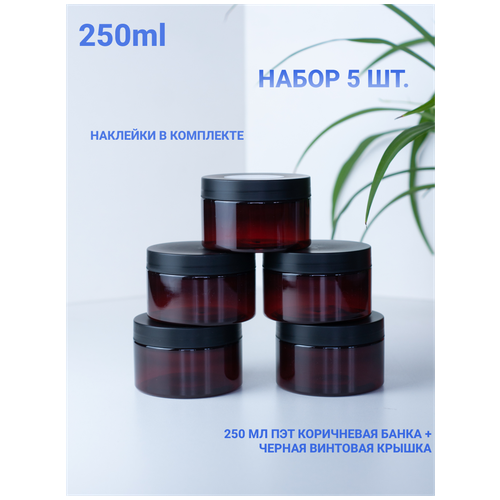 ������ 441� ����� ����� ��� �������� ������� ���������