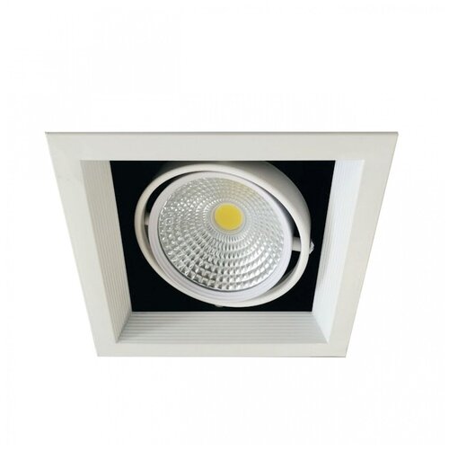  831     LED 1*20W, WH IL.0006.2115