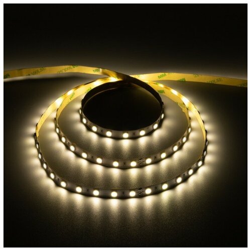  818 C  Ecola PRO 5 , IP20, SMD5050, 60 LED/, 14.4 /, 24 , 4200