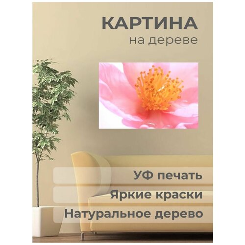 ������ 1101� ������. ������� �� ������ 