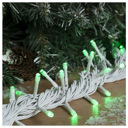 ������ 1376� �������� ������ 10 �, IP44, ���, ����� ����, 100 LED, �������� ������, 220 �