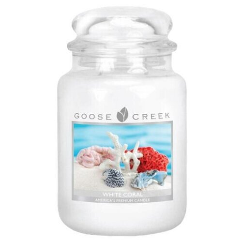  3200   GOOSE CREEK White Coral 150 ES26352-vol