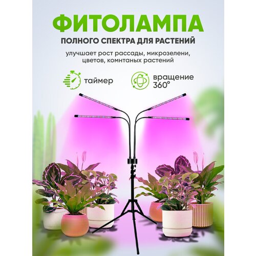 ������ 2290� ��������� �� ������� 4 ����� ����������, ��������� , ��������� ��� �������� , ��������� ��� ������� , ������������ ��������� , ��������� ��� ������