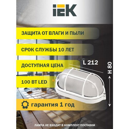  1133  IEK 100  (LNPP0-1202-1-100-K01)