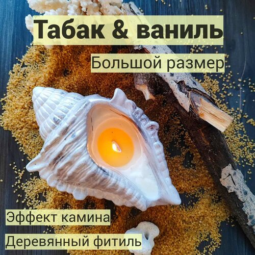 ������ 750� ������������� ����� ������� ������ ����� � ������