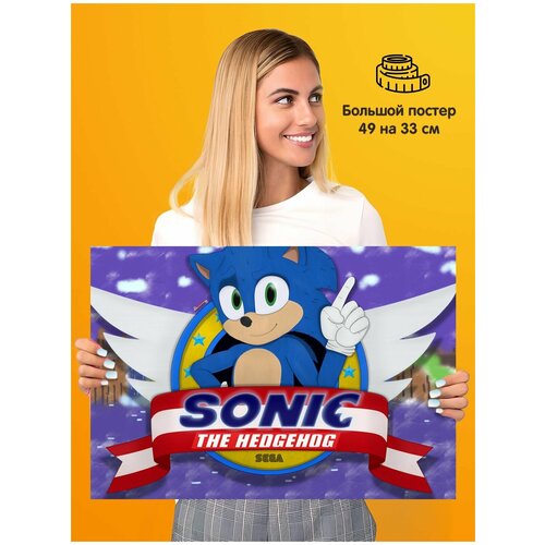  339   Sonic Sega 