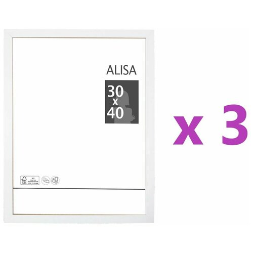  1790  Alisa, 30x40 ,  , 3 