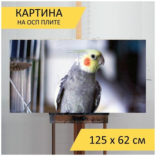 ������ 2980� ������� �� ��� 