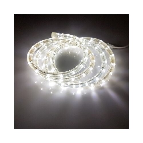  619 Flesi LED-DL-2W-100M-1M-240V-W 