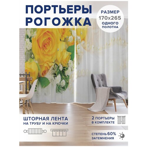 ������ 4749� �����, ��������� JoyArty 