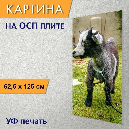 ������ 2990� ������������ ������� 