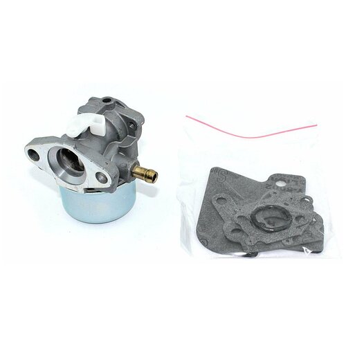  1393    BRIGGS & STRATTON 790120