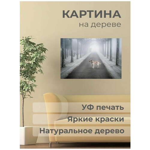 ������ 1001� ����������� ������� �� ������ 
