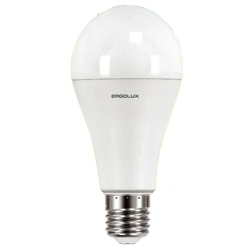 ������ 95� ����� ������������ Ergolux 13182, E27, A65, 20��, 3000 �