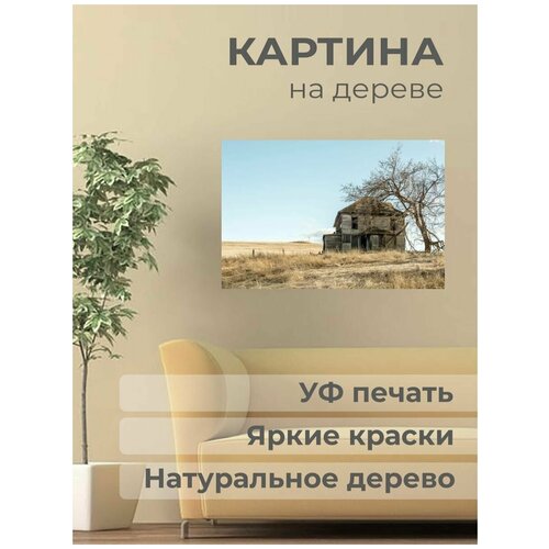 ������ 1001� ����������� ������� �� ������ 