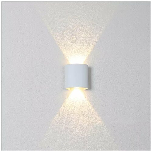  1296 MorningLight   LED          8     3000