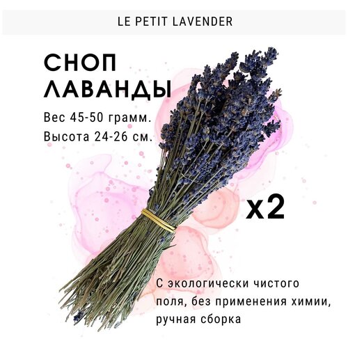 ������ 3199� �������� ������� ����������� ��������, 25 ��, 500 ��., 10��. �� 50 �����