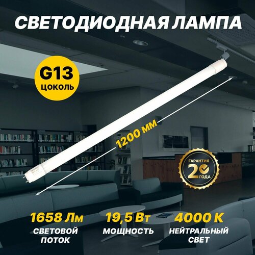 ������ 207� ����� ������������ REXANT ������ T8 19,5 �� 1658 �� G13 AC 170-265 � 4000 K ����������� ����