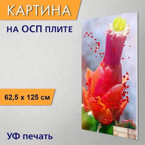 ������ 2960� ������������ ������� 