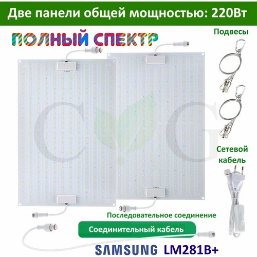  7376    ( ) 220 ,  CG 2200L,  Samsung LM281b, 3342 . 6000, 395-730. 