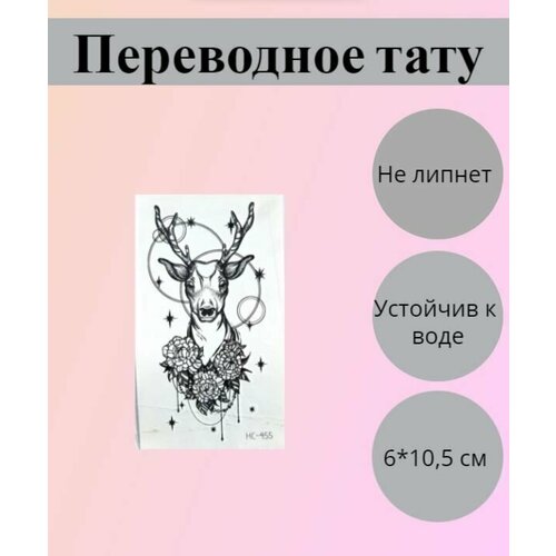 ������ 195� ���������� ���������� ��������� ��� �������� � ����� �� ���� �� ����, ����� ��������, �� ����, � ������