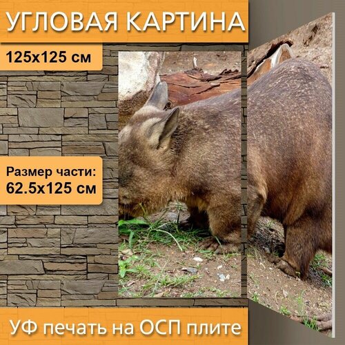 ������ 4990� ������� ��������� ������� 
