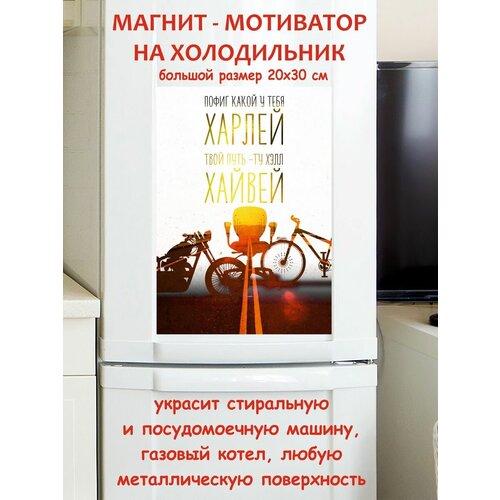 ������ 790� ���� ���� ��������� ������ ������ �� ����������� 20 �� 30 ��