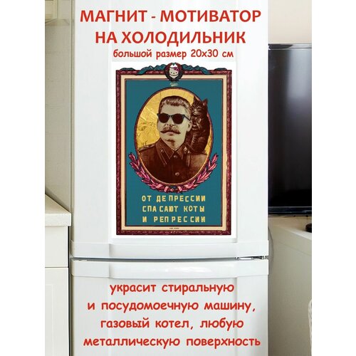 ������ 790� �� ��������� ������� ���� � ��������� ��������� ������ ������ �� ����������� 20 �� 30 ��