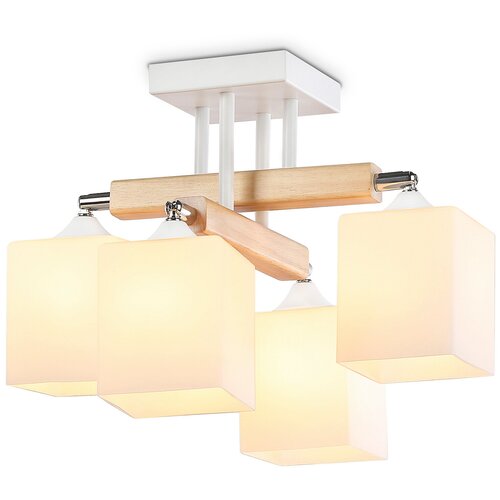  5675   Ambrella Light Traditional TR9512