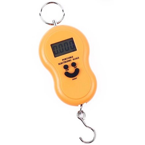  500       PORTABLE ELECTRONIC SCALE  50 