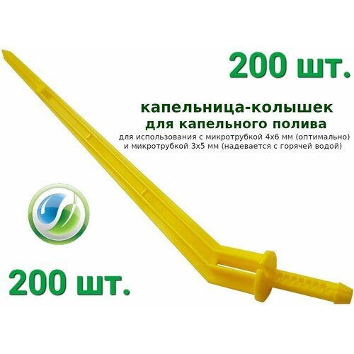  1300 - (200 .)   , 