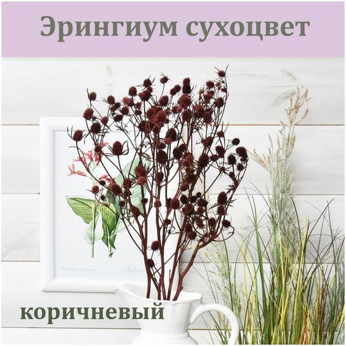 ������ 552� �������� ���������� (��������) / ����� ��� ��������� / ��������� ��� ������