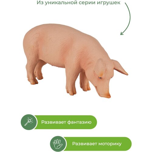 ������ 373� �������, KONIK, ������, �����