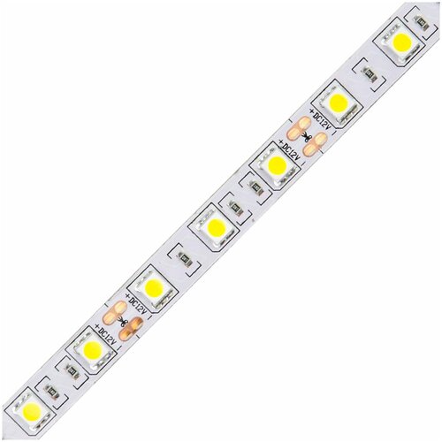  951 / /  Volpe   Volpe 14,4W/m 60LED/m 5050SMD   5M ULS-Q221 5050-60LED/m-10mm-IP20-DC12V-14,4W/m-5M-6500K UL-00004352