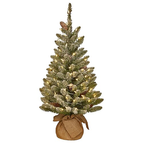 ������ 6897� National Tree Company ���������� ���� � ���������� ������ ��������� 61 ��, 50 ������ ����� ����, ��� 31SCB2BL