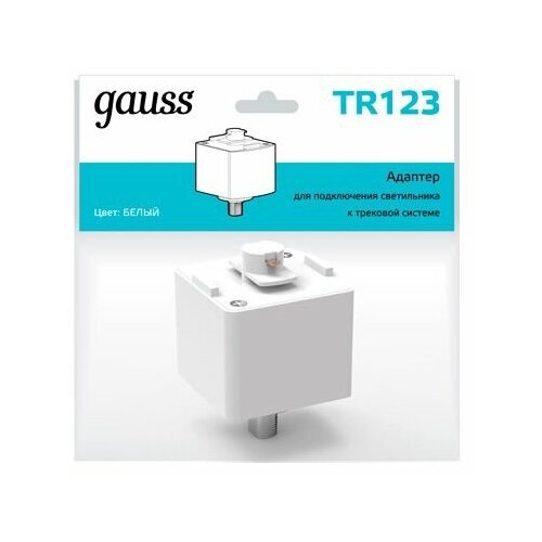  479     Gauss TR123 