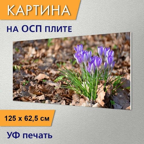 ������ 2950� �������������� ������� 