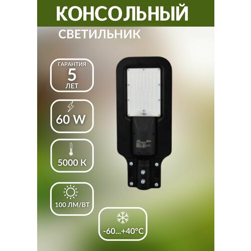  4300   LED 60W 5000   