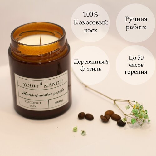  1000    YOURCANDLE  