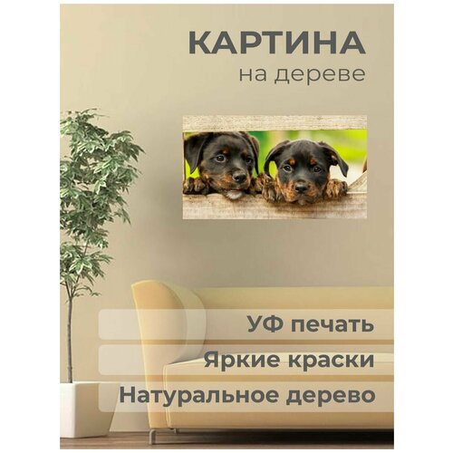 ������ 1001� ����������� ������� �� ������ 