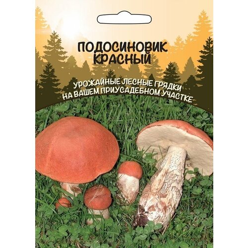 купить 469р грибы Подосиновик Красный (Урал. Дачник)