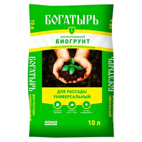 ������ 1555� ����� ��� ������� 10� �������� ����-���� .