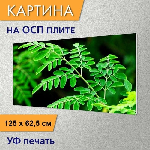 ������ 2950� �������������� ������� 