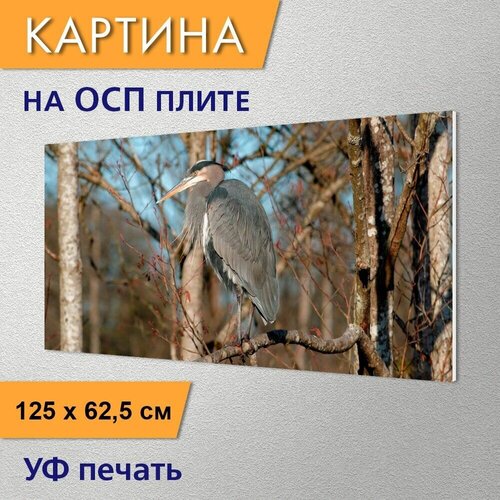 ������ 2970� �������������� ������� 