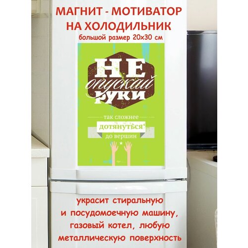 ������ 790� �� ������� ���� ��������� ������ ������ �� ����������� 20 �� 30 ��