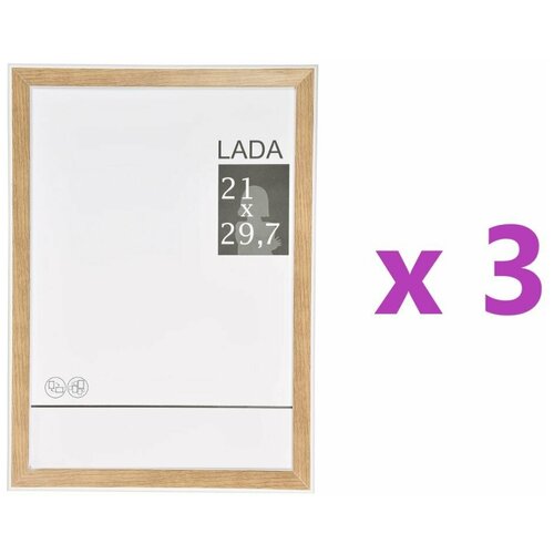  1455  Lada, 21x29.7 , ,  /, 3 