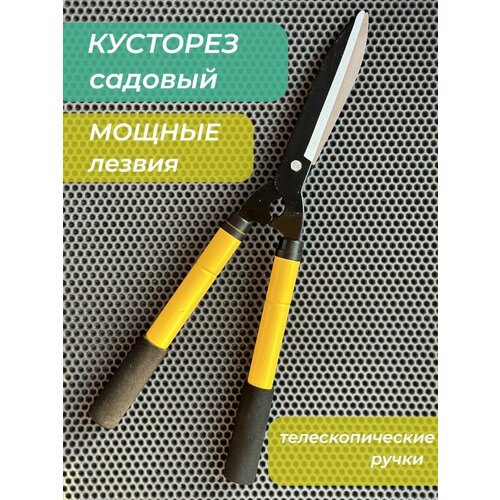 ������ 935� �������� ������ � ���������������� �������
